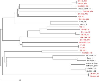 mcr-Colistin Resistance Genes Mobilized by IncX4, IncHI2, and IncI2 Plasmids in Escherichia coli of Pigs and White Stork in Spain